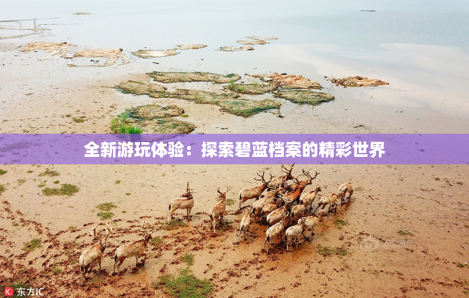 全新游玩体验：探索碧蓝档案的精彩世界