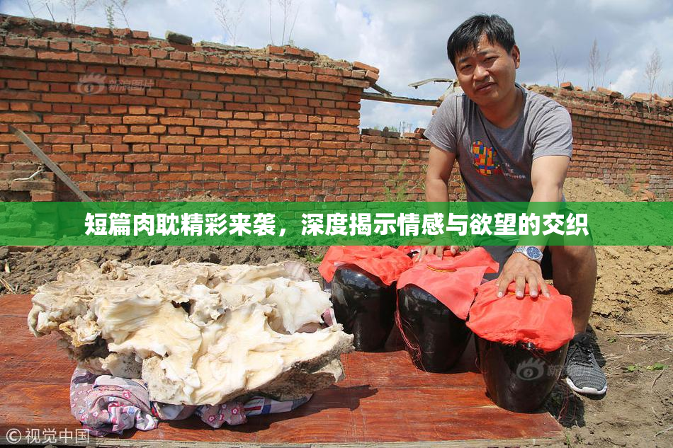 短篇肉耽精彩来袭，深度揭示情感与欲望的交织