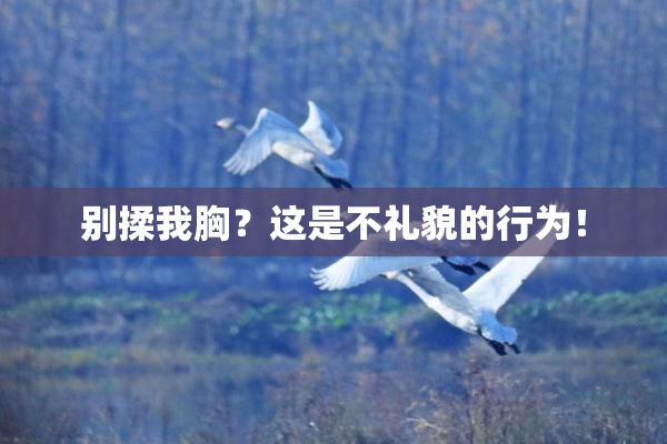 别揉我胸？这是不礼貌的行为！