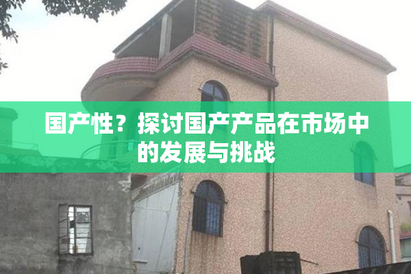 国产性？探讨国产产品在市场中的发展与挑战