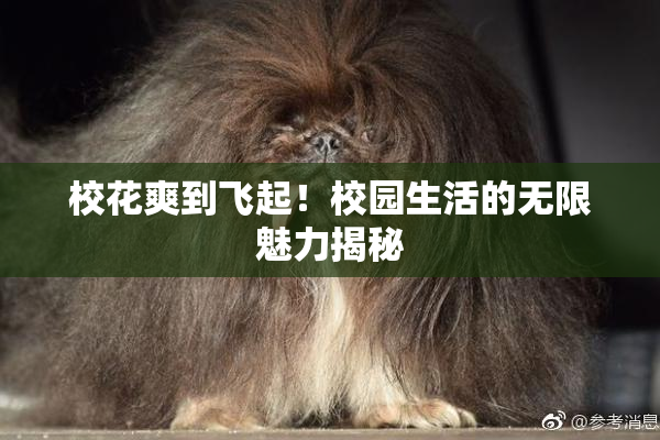 校花爽到飞起！校园生活的无限魅力揭秘