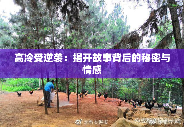 高冷受逆袭：揭开故事背后的秘密与情感