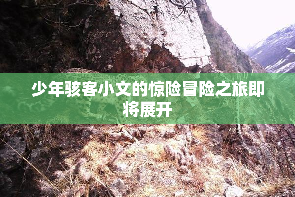 少年骇客小文的惊险冒险之旅即将展开