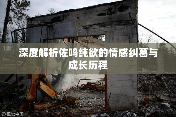 深度解析佐鸣纯欲的情感纠葛与成长历程