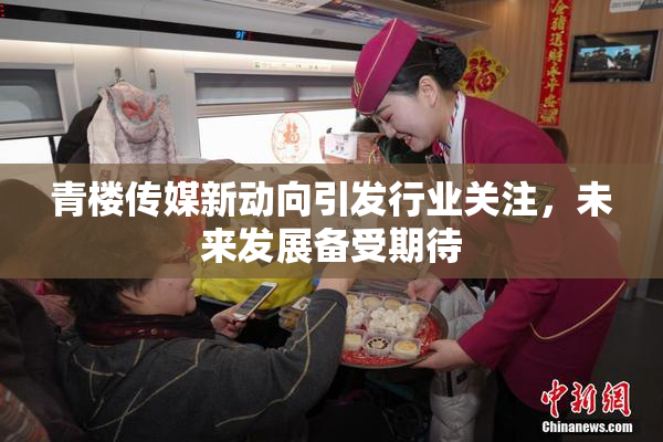 青楼传媒新动向引发行业关注，未来发展备受期待