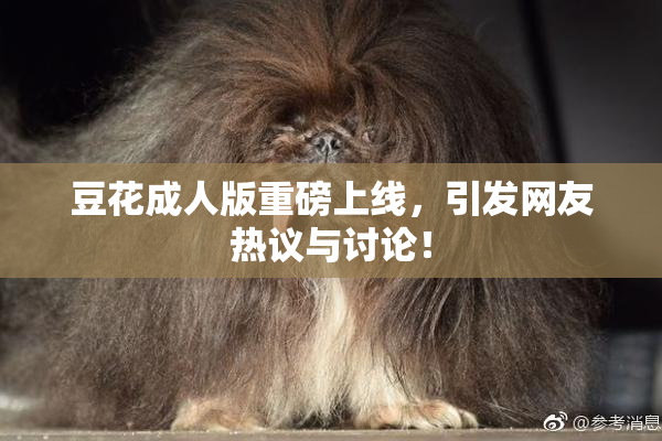 豆花成人版重磅上线，引发网友热议与讨论！