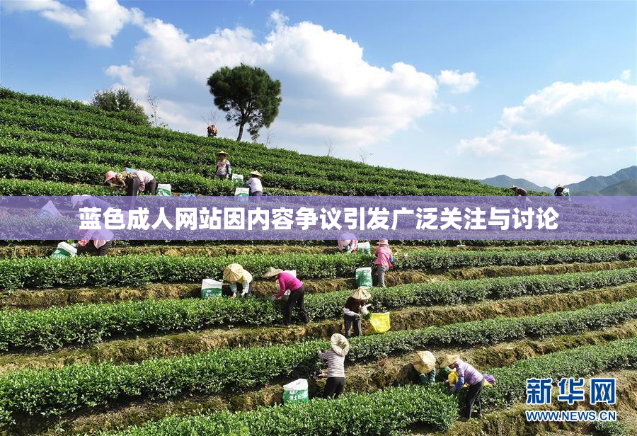 蓝色成人网站因内容争议引发广泛关注与讨论