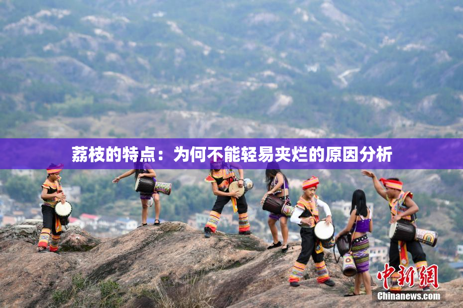 荔枝的特点：为何不能轻易夹烂的原因分析