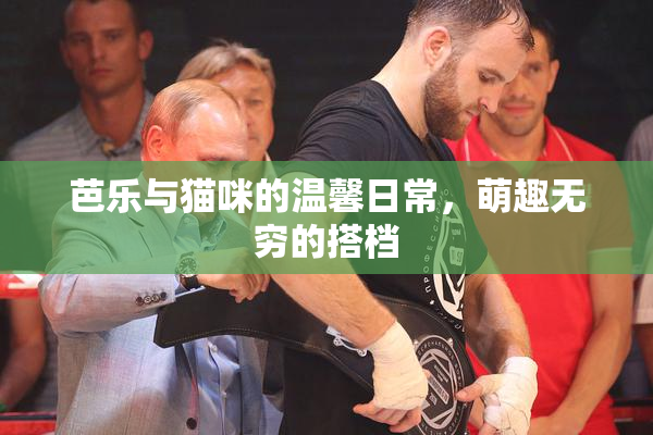 芭乐与猫咪的温馨日常，萌趣无穷的搭档