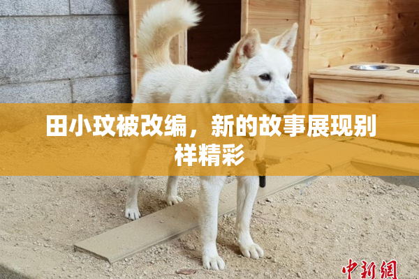 田小玟被改编，新的故事展现别样精彩