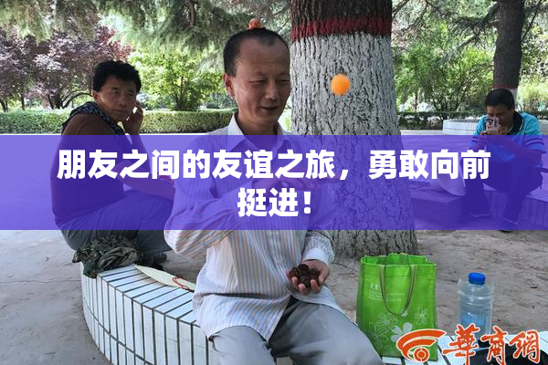 朋友之间的友谊之旅，勇敢向前挺进！