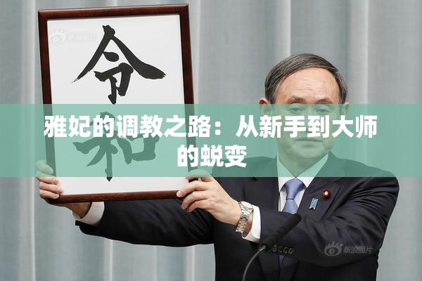雅妃的调教之路：从新手到大师的蜕变