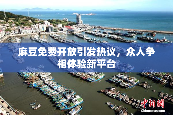 麻豆免费开放引发热议，众人争相体验新平台