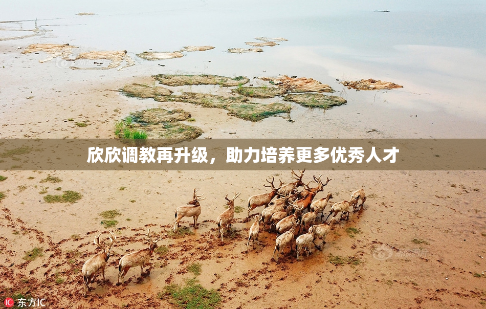 欣欣调教再升级，助力培养更多优秀人才