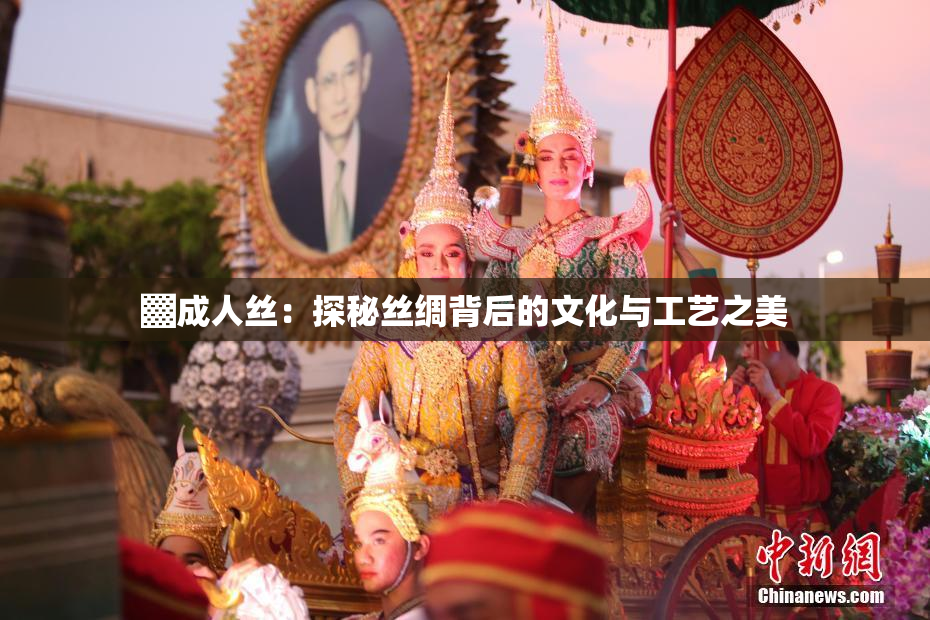 ▓成人丝：探秘丝绸背后的文化与工艺之美