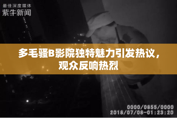多毛骚B影院独特魅力引发热议，观众反响热烈