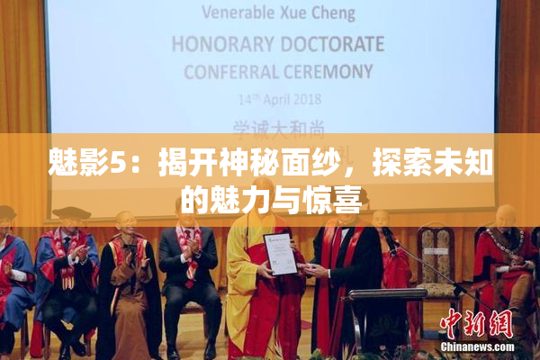 魅影5：揭开神秘面纱，探索未知的魅力与惊喜