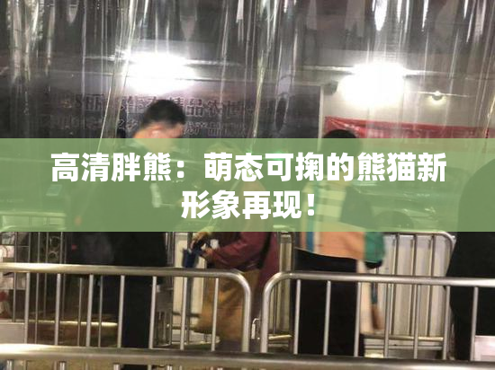 高清胖熊：萌态可掬的熊猫新形象再现！