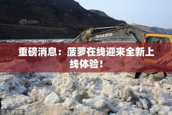 重磅消息：菠萝在线迎来全新上线体验！