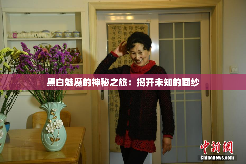 黑白魅魔的神秘之旅：揭开未知的面纱