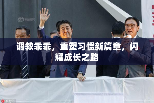 调教乖乖，重塑习惯新篇章，闪耀成长之路