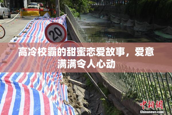 高冷校霸的甜蜜恋爱故事，爱意满满令人心动