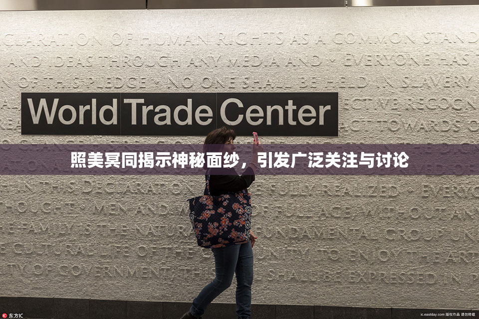 照美冥同揭示神秘面纱，引发广泛关注与讨论