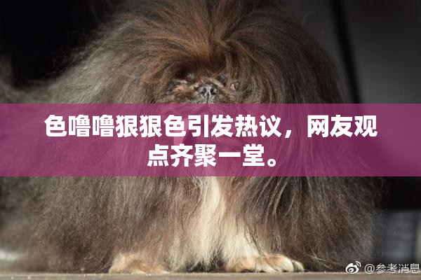 色噜噜狠狠色引发热议，网友观点齐聚一堂。