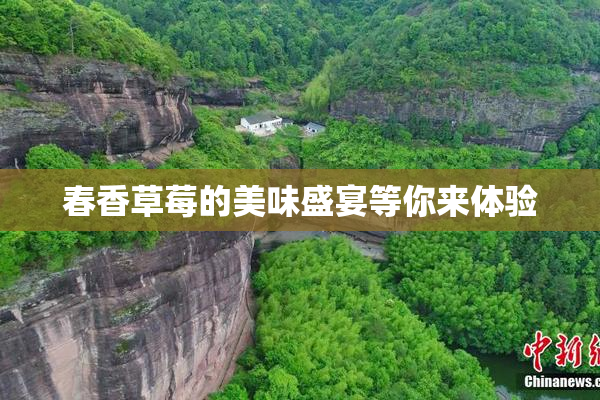 春香草莓的美味盛宴等你来体验
