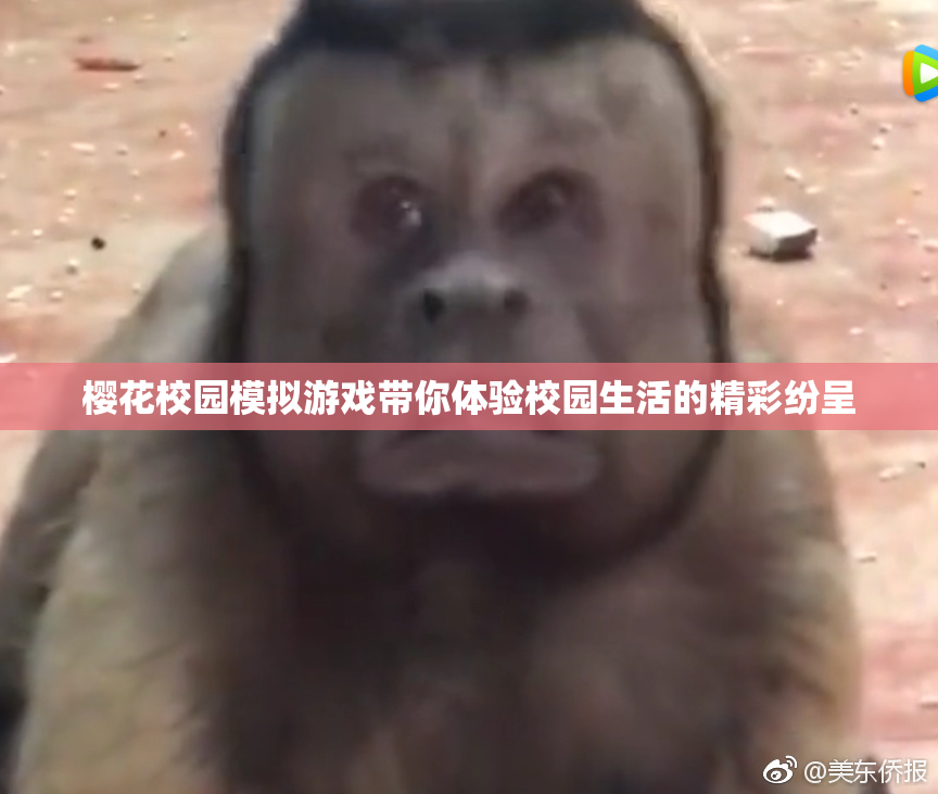 樱花校园模拟游戏带你体验校园生活的精彩纷呈