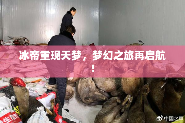 冰帝重现天梦，梦幻之旅再启航!