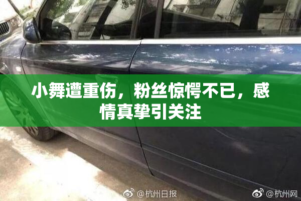 小舞遭重伤，粉丝惊愕不已，感情真挚引关注