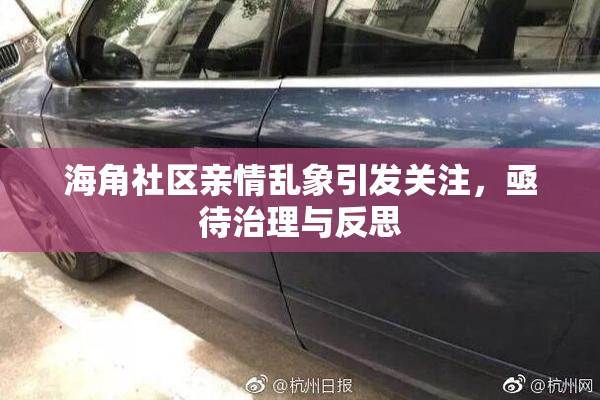 海角社区亲情乱象引发关注，亟待治理与反思