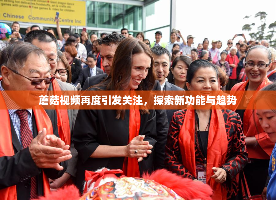 蘑菇视频再度引发关注，探索新功能与趋势