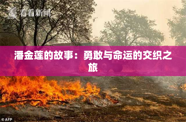 潘金莲的故事：勇敢与命运的交织之旅