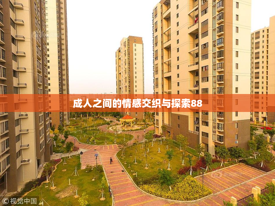 成人之间的情感交织与探索88