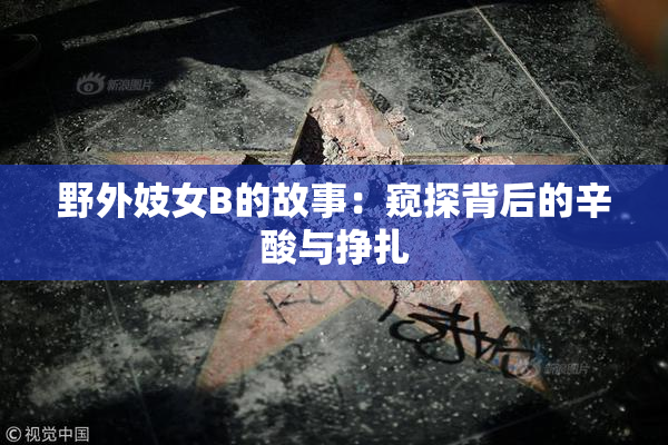 野外妓女B的故事：窥探背后的辛酸与挣扎