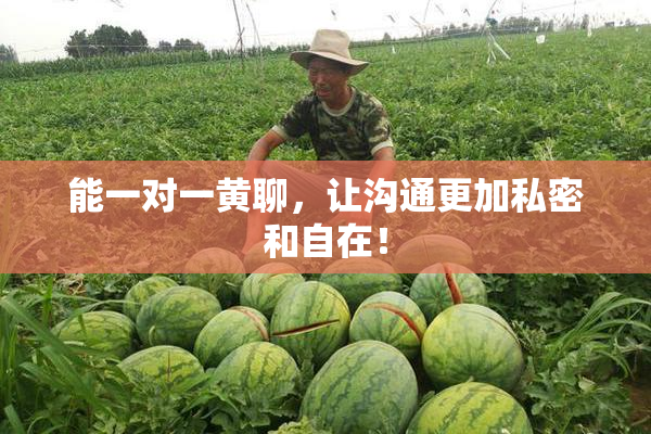 能一对一黄聊，让沟通更加私密和自在！