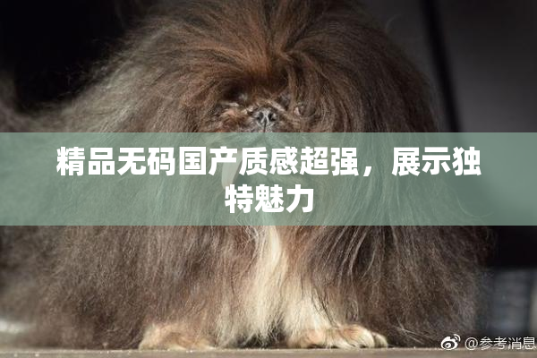 精品无码国产质感超强，展示独特魅力