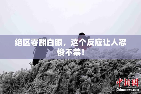 绝区零翻白眼，这个反应让人忍俊不禁！