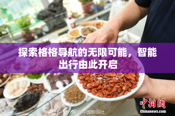 探索格格导航的无限可能，智能出行由此开启