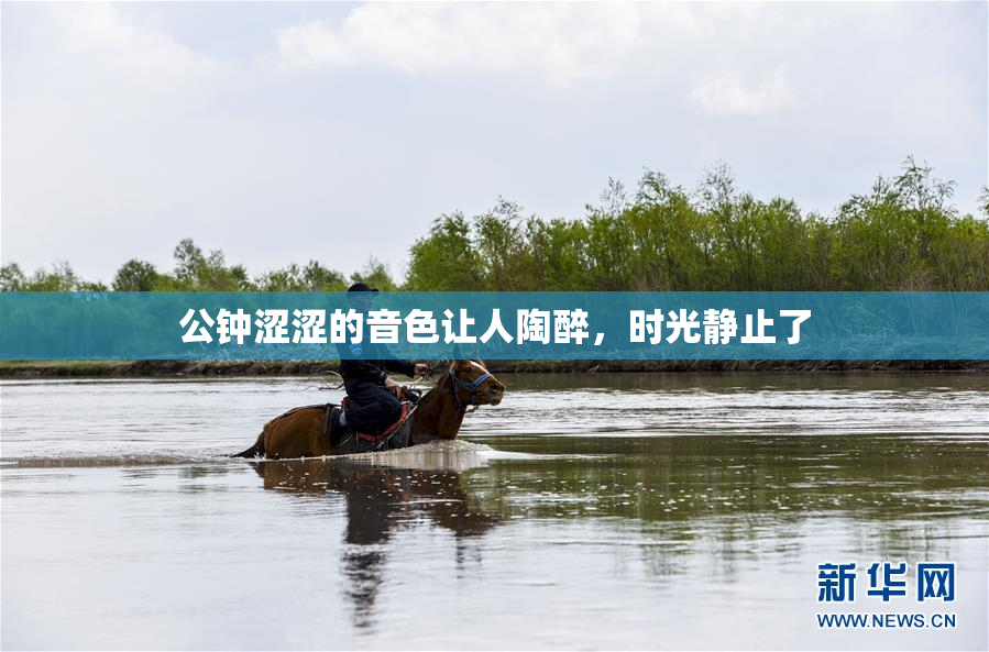 公钟涩涩的音色让人陶醉，时光静止了