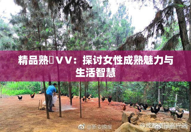 精品熟婦ⅤV：探讨女性成熟魅力与生活智慧