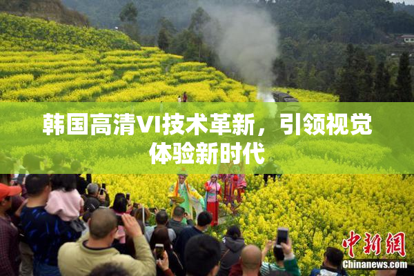 韩国高清VI技术革新，引领视觉体验新时代
