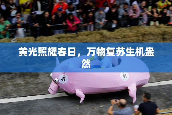 黄光照耀春日，万物复苏生机盎然