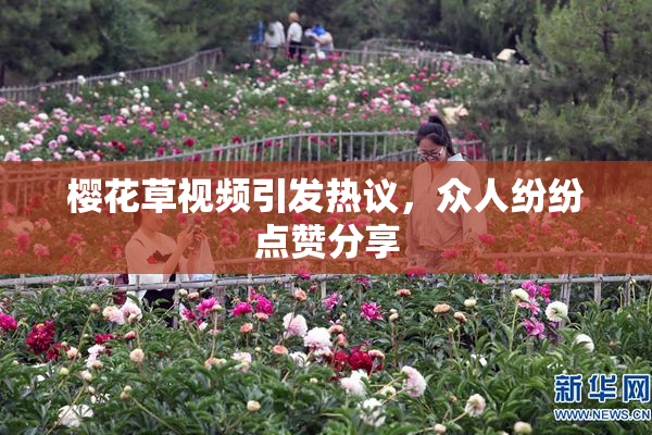 樱花草视频引发热议，众人纷纷点赞分享
