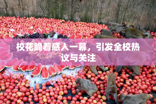 校花跪着感人一幕，引发全校热议与关注