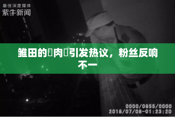 雏田的婬肉泬引发热议，粉丝反响不一
