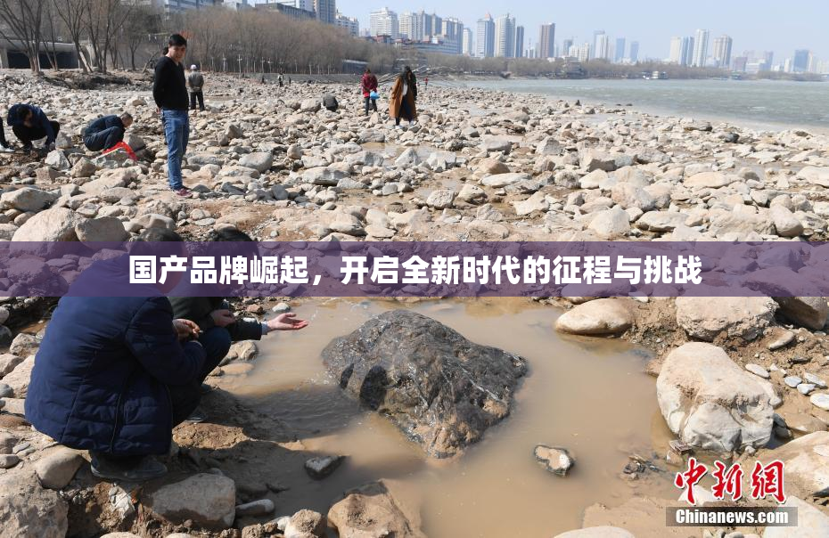 国产品牌崛起，开启全新时代的征程与挑战