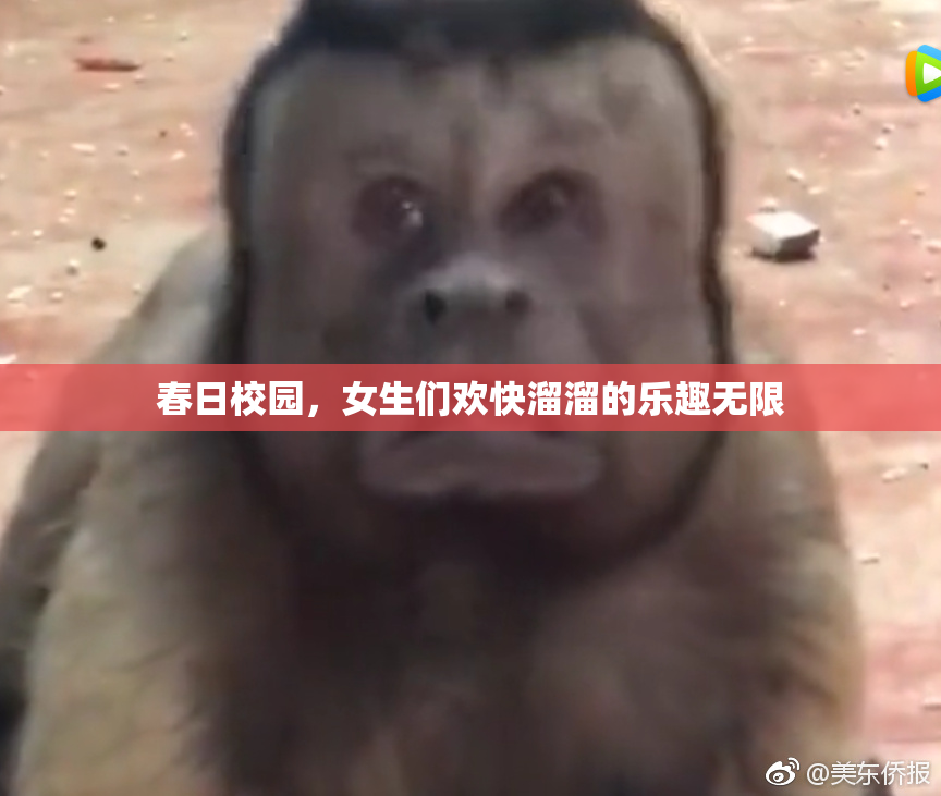 春日校园，女生们欢快溜溜的乐趣无限